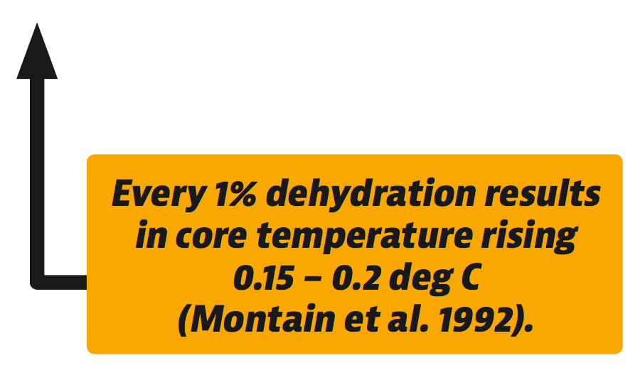 Hydration Effects on Thermoregulation